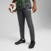 Puma IndividualLIGA Trainingshose