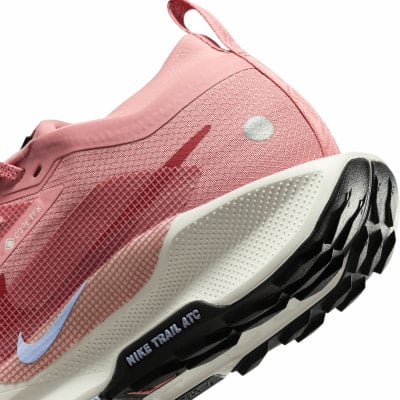 Nike Pegasus Trail 5 GTX Traillaufschuhe