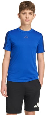 Junge in blauem Kurzarmshirt und schwarzer Hose Junge in blauem Kurzarmshirt und schwarzer Hose