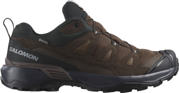 Salomon X Ultra 360 LTR GTX Outdoorschuhe