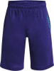 Under Armour Stunt 3.0 Shorts