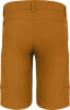 Salewa Puez Durastretch Cargo Softshellshorts