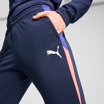 Puma IndividualLIGA Trainingshose