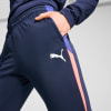 Puma IndividualLIGA Trainingshose