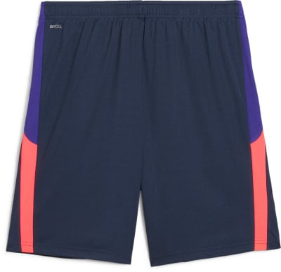 Puma IndividualLIGA Trainingsshorts