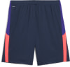 Puma IndividualLIGA Trainingsshorts