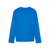 teamGOAL Langarmshirt