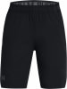Under Armour Vanish Shorts