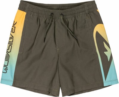Quiksilver Everyday Holmes Badeshorts