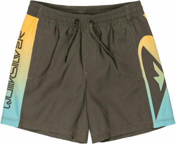 Quiksilver Everyday Holmes Badeshorts