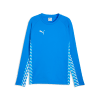Puma teamLIGA26 Training Sweater 100%PES, dryCELL