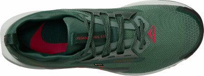 Nike Pegasus Trail 5 GTX Traillaufschuhe