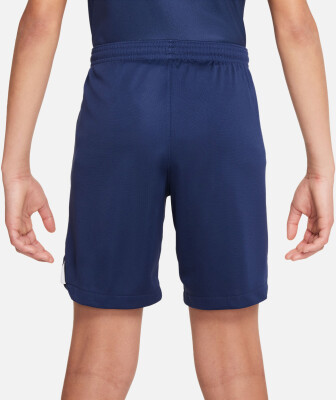 Nike Paris Saint-Germain Shorts