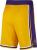 Nike NBA Los Angeles Lakers Icon Basketballshorts
