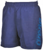Arena Fundamentals Logo Badeshorts