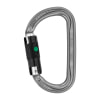 Petzl Am'D Karabiner