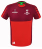SV Freistadt Six Wings Trainingstrikot