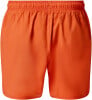 Oakley Clear Lake 16 Volley Badeshorts