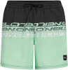 O'Neill Cali Stripe 16 Badeshorts