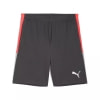 Puma IndividualLIGA tréninkové kraťasy 