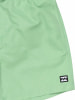 Billabong All Day Badeshorts