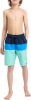 Firefly Natal Badeshorts