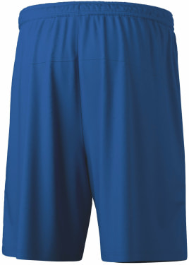 Team Shorts