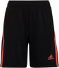 adidas TIRO Trainingsshorts