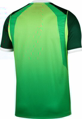 Nike Nigeria 2026 Heimtrikot Replica
