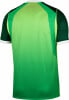 Nike Nigeria 2026 Heimtrikot Replica