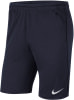 Nike Dri-FIT Park 20 Trainingsshorts