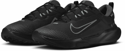 Nike Juniper Trail 2 GTX V2 Traillaufschuhe