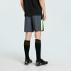 Puma IndividualLIGA Trainingsshorts
