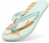 Puma Epic V2 Flip Flops