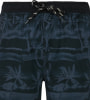 Protest Prtdelton Beachshorts