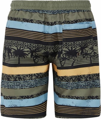 Protest Prtfrisby Badeshorts
