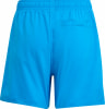 adidas WATER REACT Badeshort