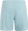 Protest Prtbaky Beachshorts