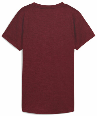 Puma Tad Essential Heather T-Shirt
