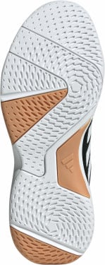Ligra 8 Indoor Hallenschuhe