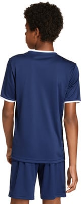 Rückansicht eines Jungen in einem dunkelblauen T-Shirt mit weißem Besatz und Shorts. Rückansicht eines Jungen in einem dunkelblauen T-Shirt mit weißem Besatz und Shorts.