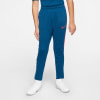 Nike Dri-FIT Academy Trainingshose