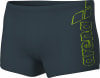 Arena Scratchy Swim Badehose lang