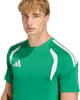 Grünes Herren T-Shirt mit weißen Streifen an den Schultern und Adidas Logo.