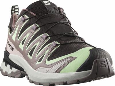 Salomon XA Pro 3D V9 GTX Traillaufschuhe