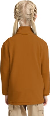 Jack Wolfskin Taunus 100 Fleecejacke