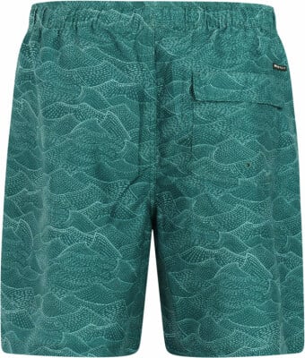 Protest PrtAcorn Beachshort