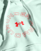 Under Armour Rival Fleece Metallic Hoodie