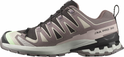 Salomon XA Pro 3D V9 GTX Traillaufschuhe