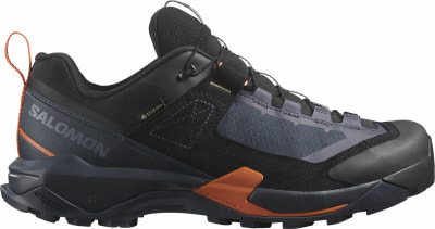 Salomon X Ultra Alpine GTX Outdoorschuhe